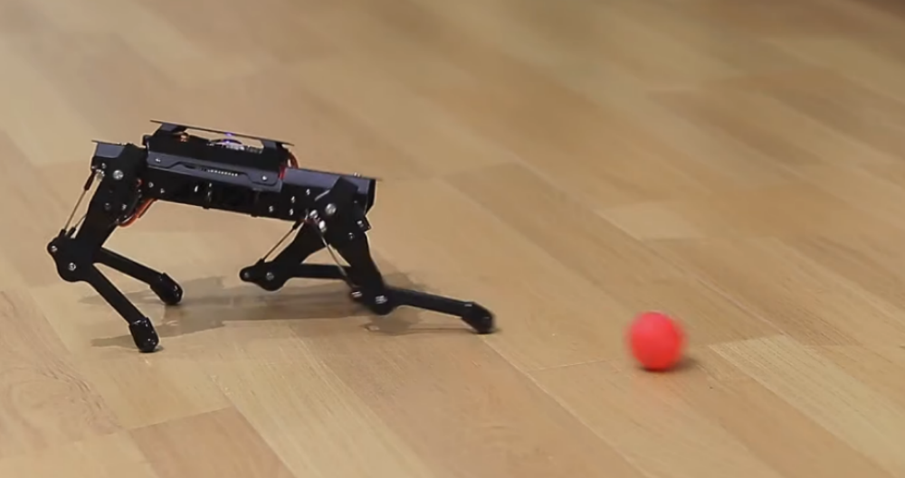 Beyond Balance: PuppyPi's Stable Agility Secret