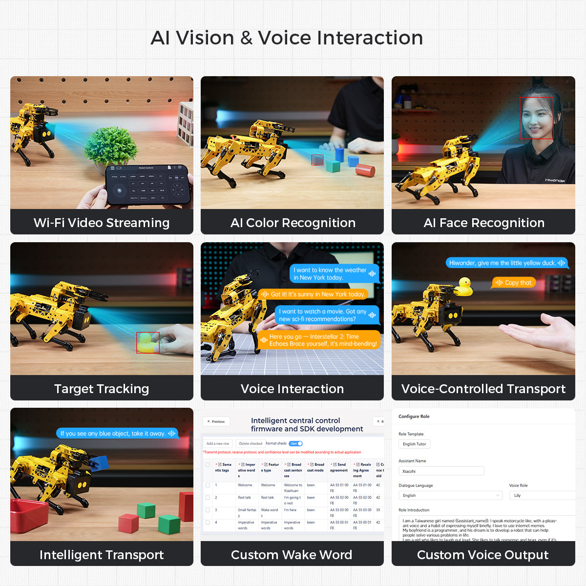 Al Vision & Voice Interaction