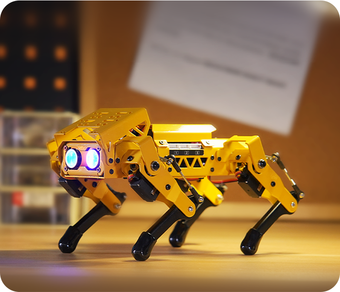 micro:bit & Scratch Series