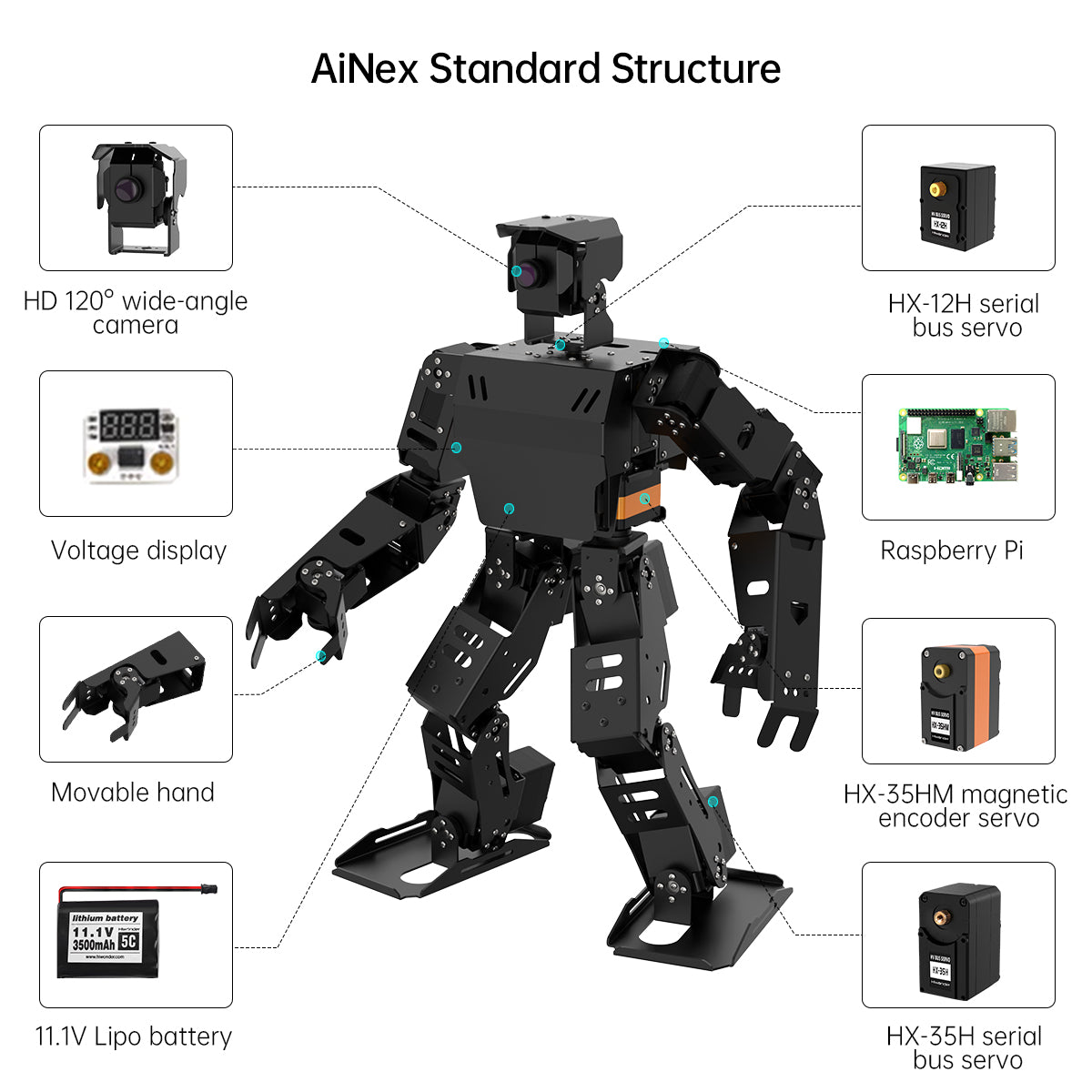 AiNex Standard Structure