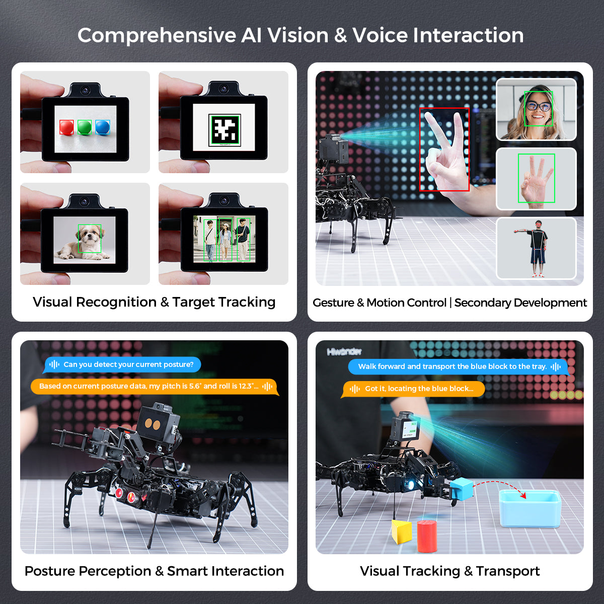Comprehensive Al Vision & Voice Interaction