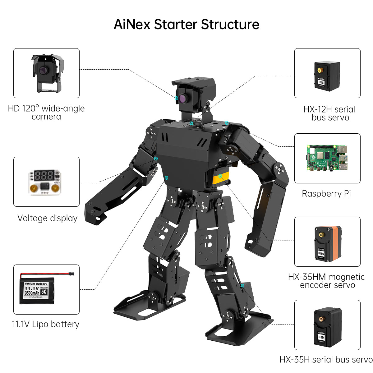Hiwonder AiNex Biped Humanoid Robot Raspberry Pi Vision AI Kit Powered