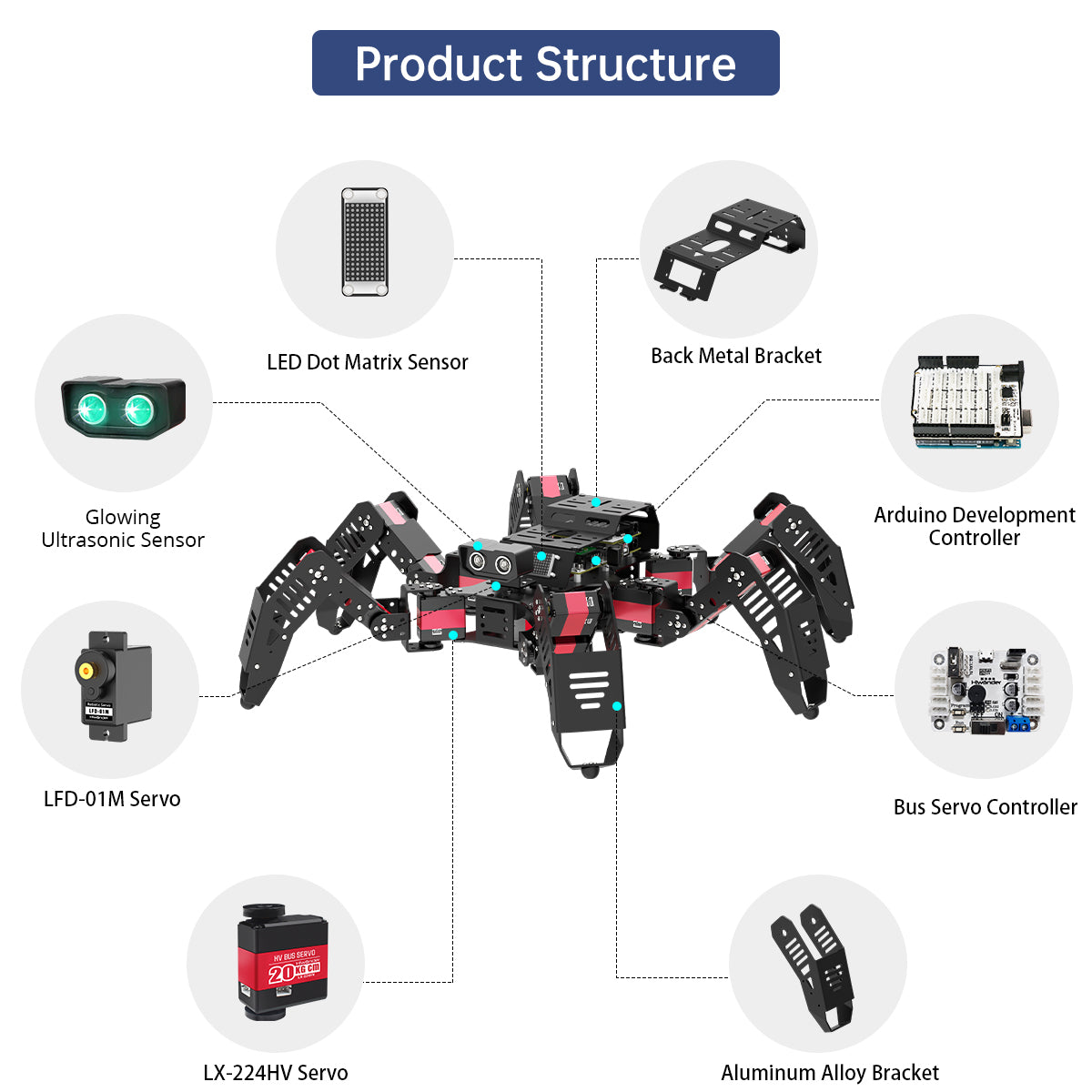 Spiderbot: Hiwonder Hexapod Programming Robot for Arduino Standard Version