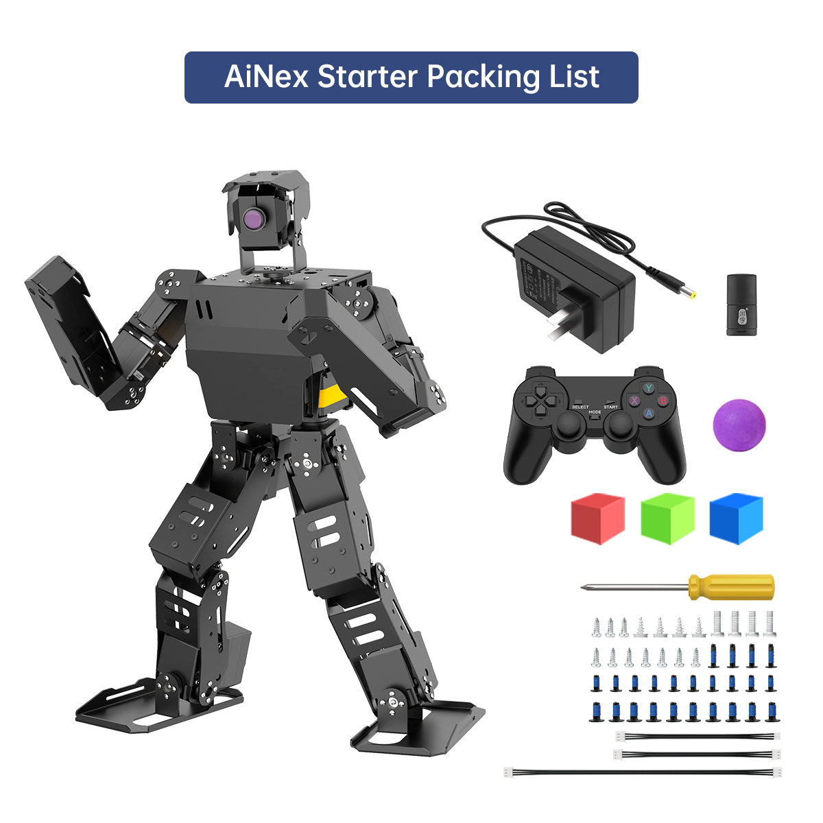 AiNex Starter Packing List