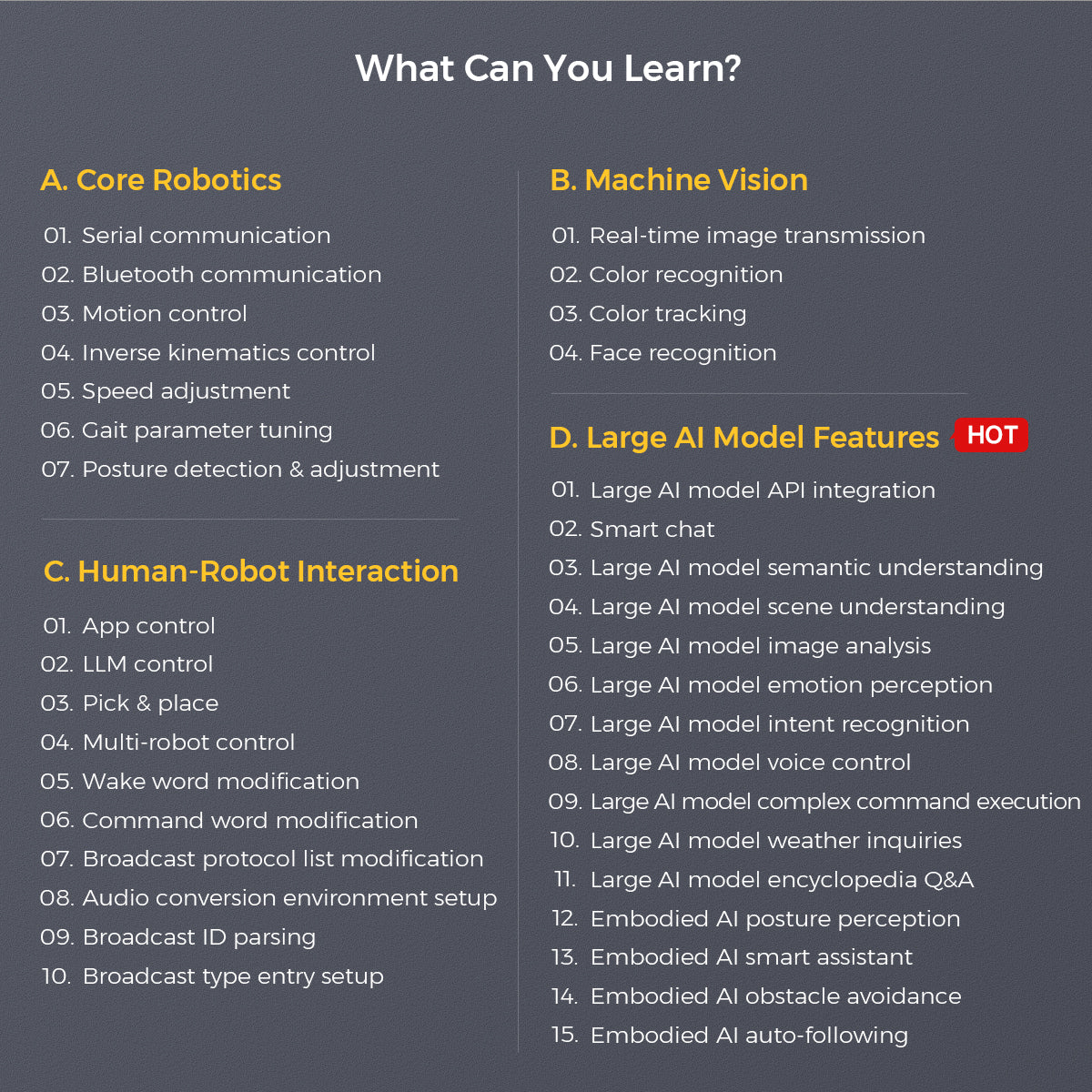What Can You Learn?