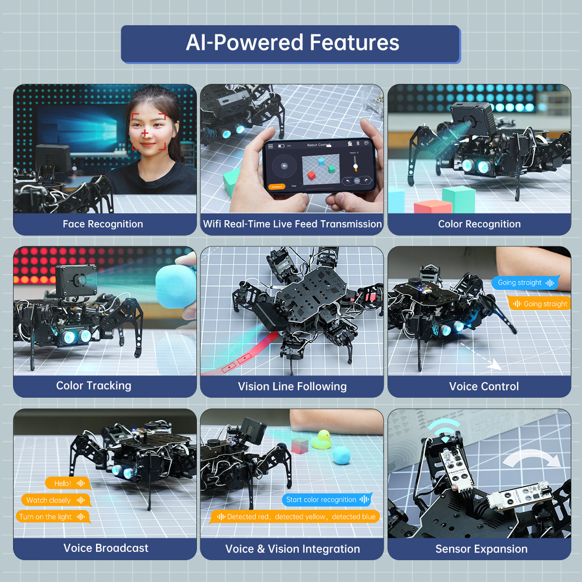 Hiwonder miniHexa AI Hexapod Robot with AI Vision & Voice Interaction, Support Arduino Programming & Sensor Expansion