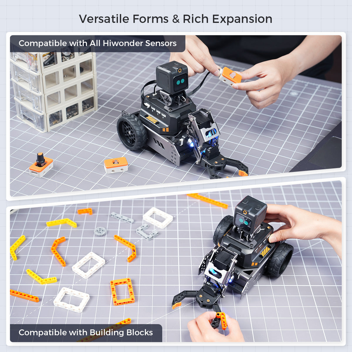 Versatile Forms & Rich Expansion