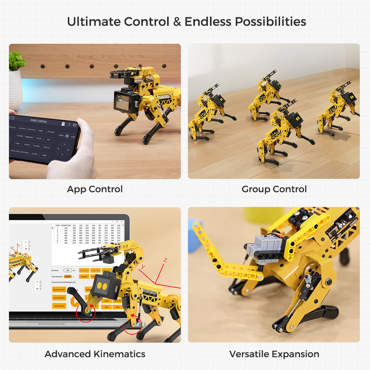Ultimate Control & Endless Possibilities