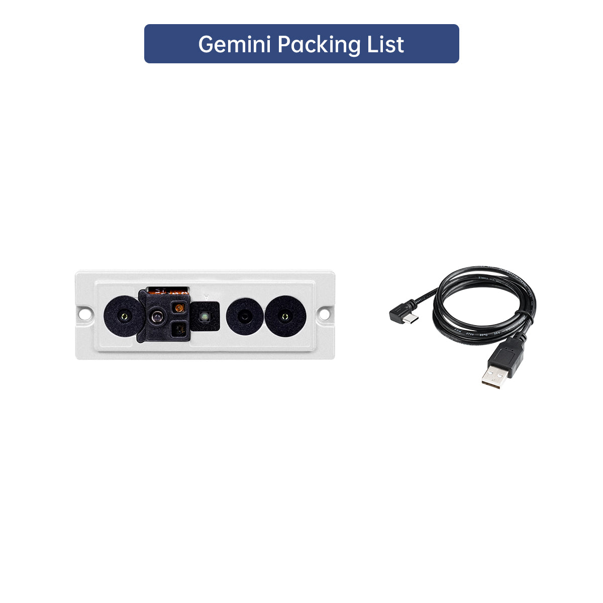 Gemini Packing List