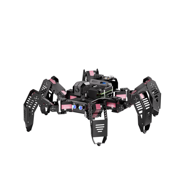 SpiderPi