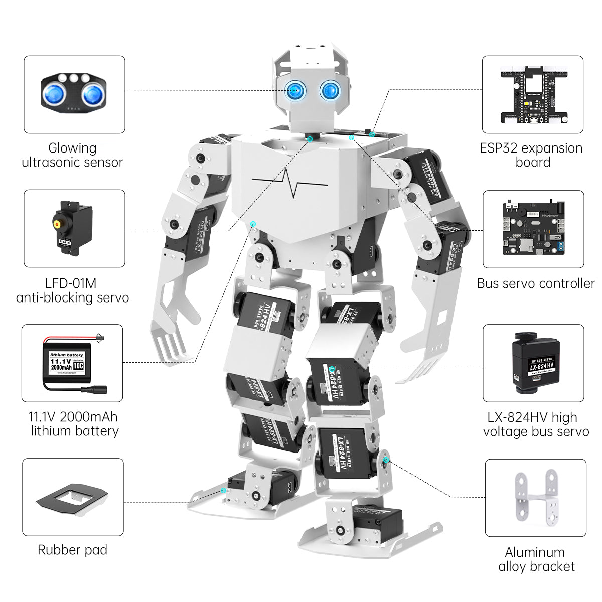 Hiwonder Tonybot Humanoid Robot with Multimodal Large AI Models, Vision AI & Voice Interaction, Educational Programming Kit, Supports Arduino, Scratch & Python