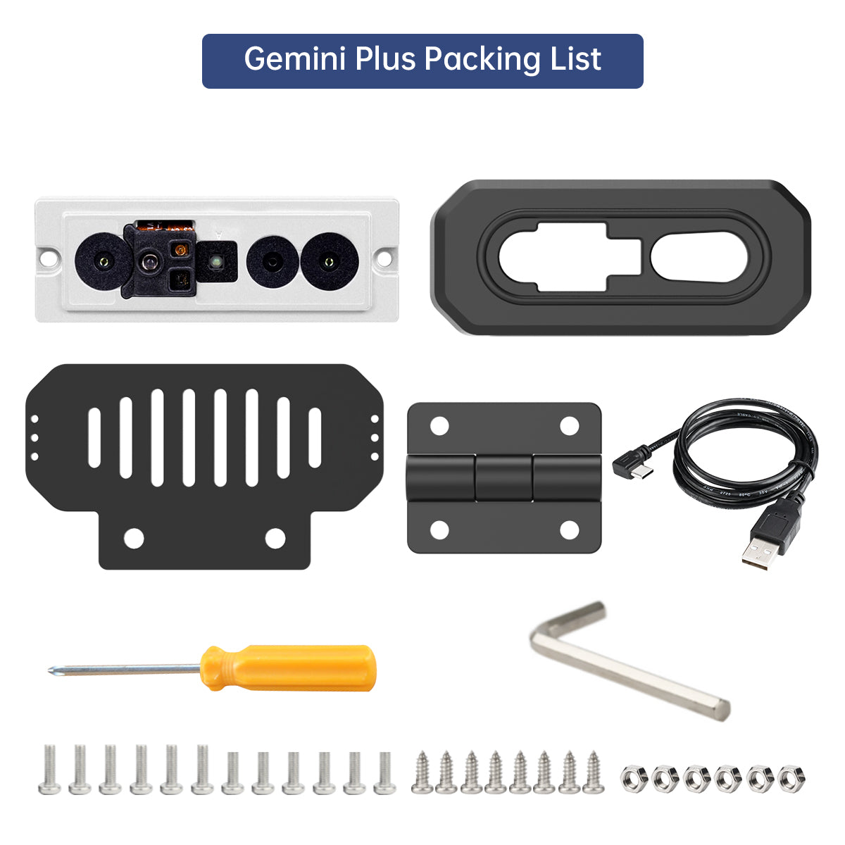 Gemini Plus Packing List