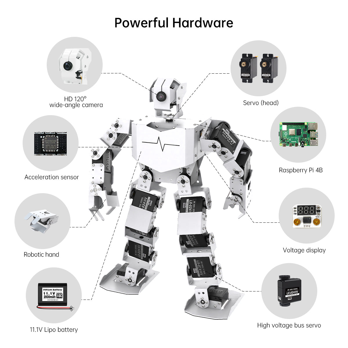 TonyPi Pro Hiwonder Humanoid Robot Professional Development Kit Powered by Raspberry Pi 4B 4GB