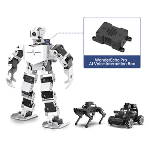 Hiwonder AI Upgrade Pack for Raspberry Pi Robots with Large AI Model & Voice Interaction