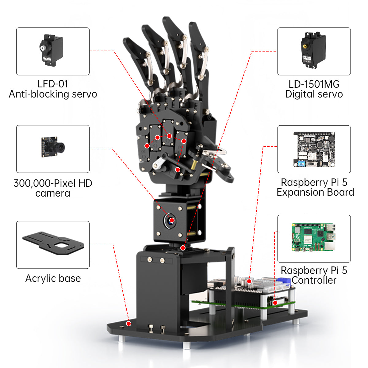 Hiwonder uHandPi Raspberry Pi 5 AI Robotic Hand, AI Vision Recognition and Tracking, Python Programming, Deep Learning